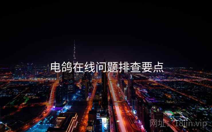 电鸽在线问题排查要点  第2张