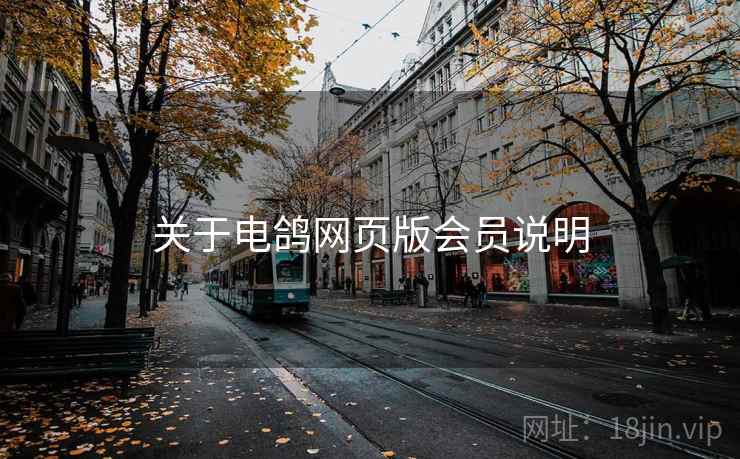 关于电鸽网页版会员说明  第1张