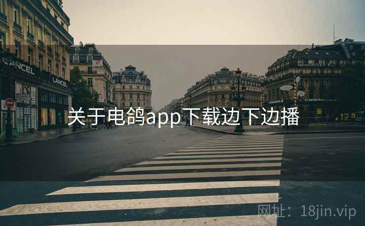 关于电鸽app下载边下边播  第1张