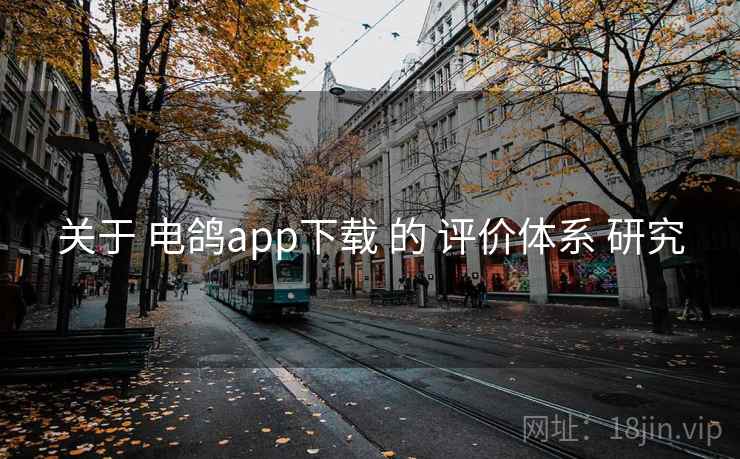 关于 电鸽app下载 的 评价体系 研究  第2张