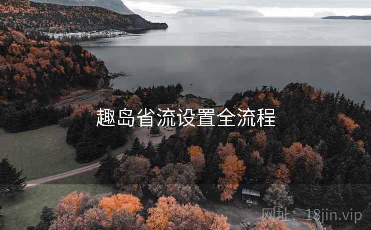 趣岛省流设置全流程  第1张