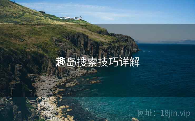趣岛搜索技巧详解  第2张