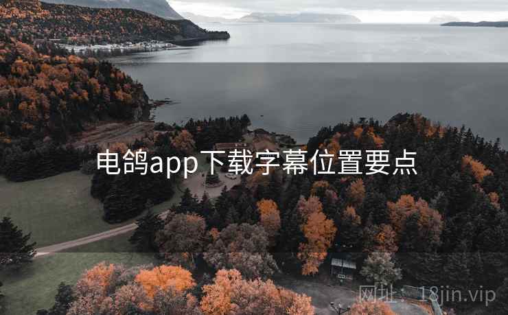 电鸽app下载字幕位置要点  第1张