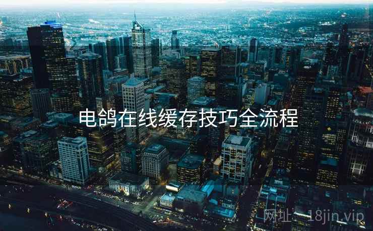 电鸽在线缓存技巧全流程  第1张