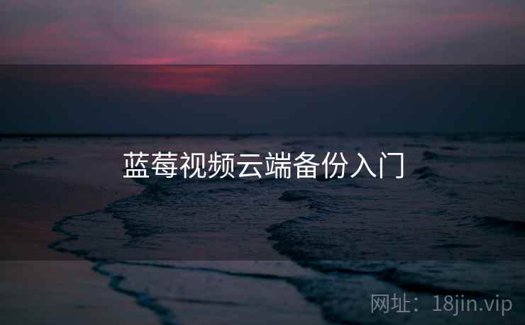 蓝莓视频云端备份入门  第2张