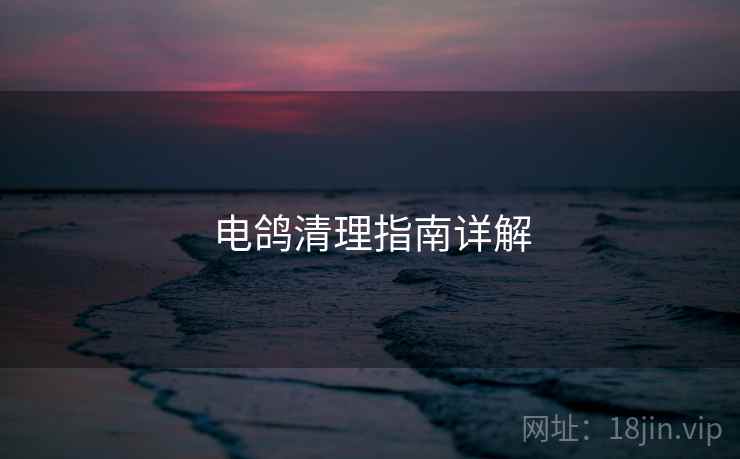 电鸽清理指南详解  第1张
