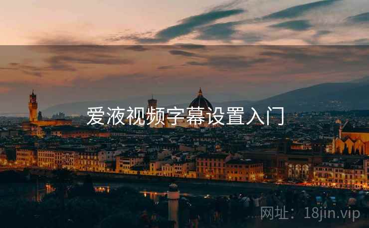 爱液视频字幕设置入门  第1张